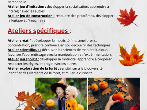 Rémelfing Accueil de loisirs d'automne à Zetting