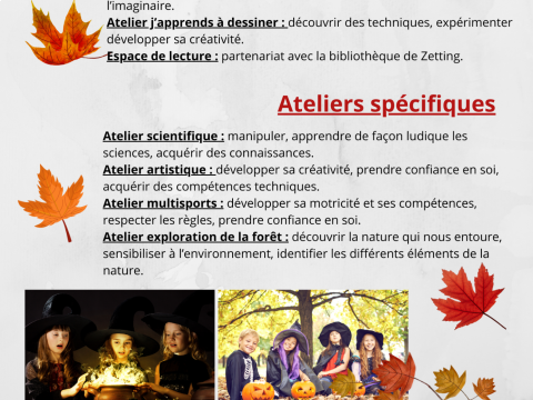 Rémelfing Accueil de loisirs d'automne à Zetting