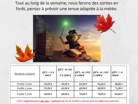 Rémelfing Accueil de loisirs d'automne à Zetting