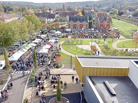 Rémelfing 1ERE ED.MARCHE PAYSAN LE DIMANCHE